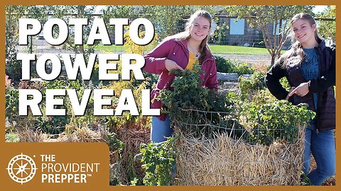 Potato Towers: More Work for Fewer Potatoes