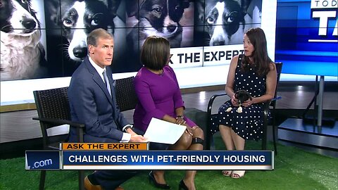 Ask the Expert: Challenges with pet-friendly housing
