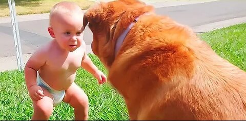 Cute Baby With Cute Pets | Baby Playing With Cute Puppies