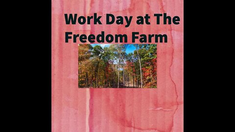 Work Day at the Freedom Farm