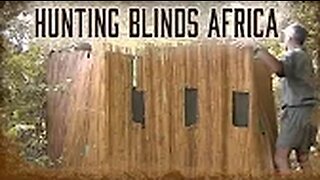 Safari Education - Great Cats Episode 8: How to Use Blinds for Baiting African Lions and Leopards