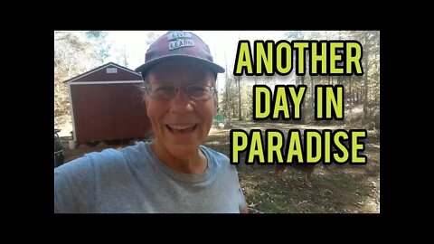 Another Day in Paradise - Ann's Tiny Life