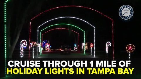 Cruise through the Wonderland of Lights in Tampa Bay | Taste and See Tampa Bay