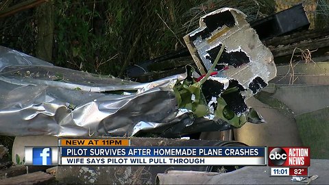 Experimental aircraft crashes into tree when pilot loses power in Zephyrhills
