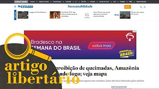 Proibido queimar mato | Artigo Libertário - 05/09/19 | ANCAPSU