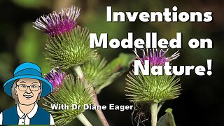 Inventions Modelled on Nature! #biology #biomimicry #nature