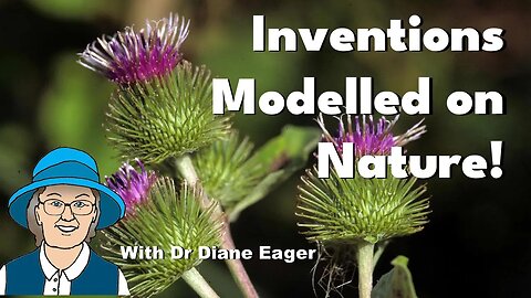 Inventions Modelled on Nature! #biology #biomimicry #nature