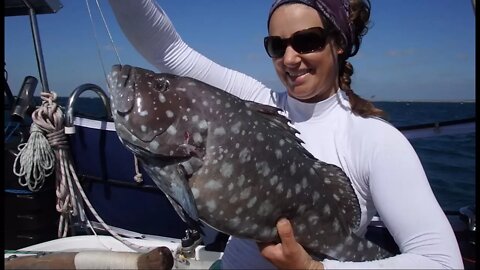 Bay of Sharks - Free Range Sailing Ep 2