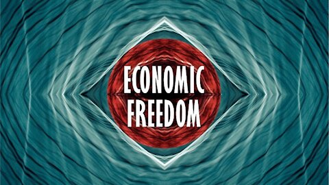 Economic Freedom Basics IV