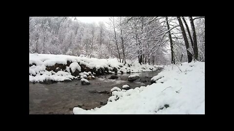 BCH Cafe - A calm jazzy rest by snowy winter stream.