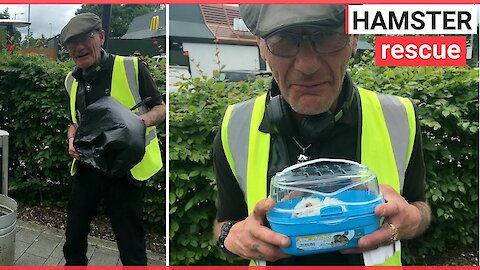 Dustbin man dubbed 'a hero' after saving hamster