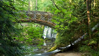 |4K| Fishing Beautiful PNW Park for Trout