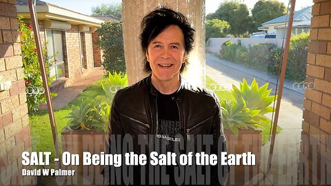 "Salt: On Being the Salt of the Earth" - David W Palmer (2024)
