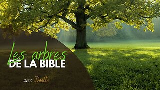 RTA - Les arbres de la bible