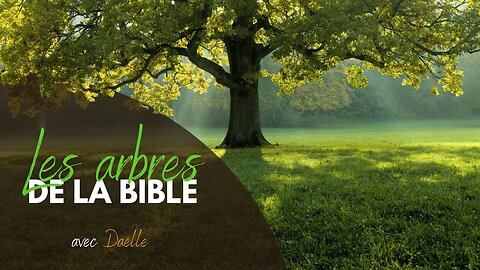 RTA - Les arbres de la bible