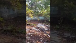 Abandoned Pool in the middle of woods