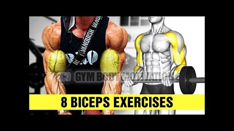 8 Bicep Exercises for Bigger Arms - Gym Motivation vlog