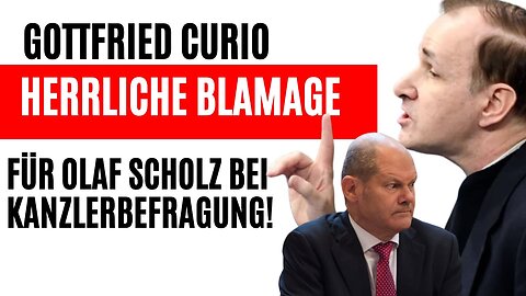 Gottfried Curio 😎 Nach Befragung, Olaf Scholz schweißgebadet! 😱@FreiSprech