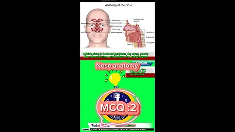 Nose mcqs #Qadisiyah #quiz #Arabic #MedicalQuiz #phramcology #nurses