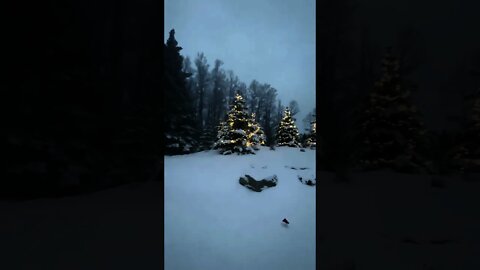 Snowfall in Alberta, Canada