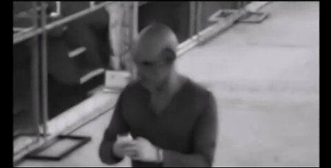 Reptilians Caught on CCTV Camera in New York