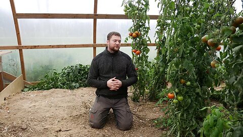 Why I Won't Put My Chickens Into The Greenhouse This Winter