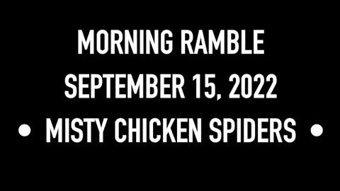 Morning Ramble - 20220915 - Misty Chicken Spiders