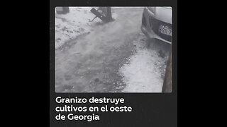 Lluvias acompañadas de granizo destruyen viñedos en Georgia