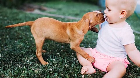 Baby Kisses Puppy!