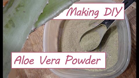How to Make Aloe Vera Powder at Home - DIY Cosmetics