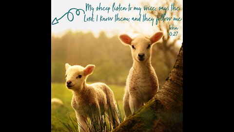 My Sheep Know my Voice