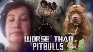 Mzungu Woman States That "Black People Are Worse Than Pitbulls"