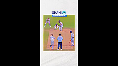 Mohammad shami fire hai 🔥🔥