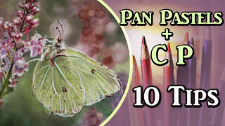 Ten Tips for Pan Pastels & Colored Pencil Painting