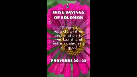 Proverbs 20.23 | NRSV Bible - Wise Sayings of Solomon