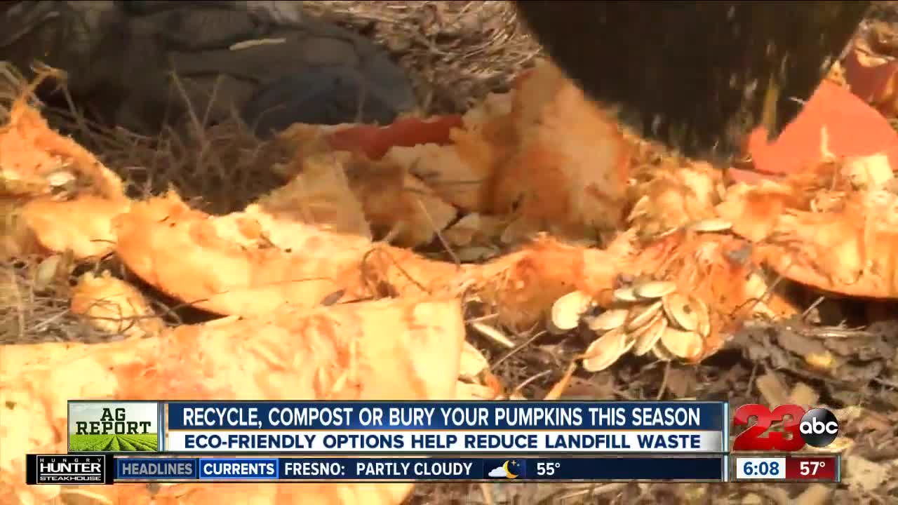 Eco-friendly pumpkin disposal