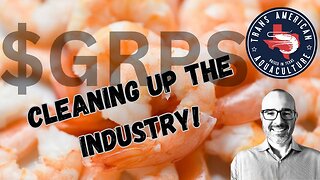 Trans American Aquaculture is going to revolutionize the shrimp farming industry!