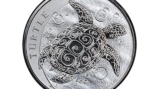 Silver Unboxing: 2 Oz THICK Niue Turtle Coin