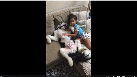 Divine Belly Rubs Send Relaxed Dog Into The State Of Nirvana