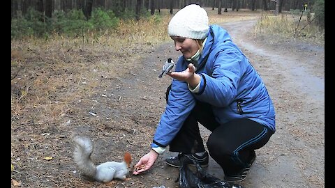 Birds and squirrel