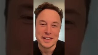 Elon Musk on crypto scammers