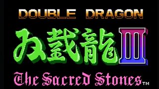 Double Dragon III NES