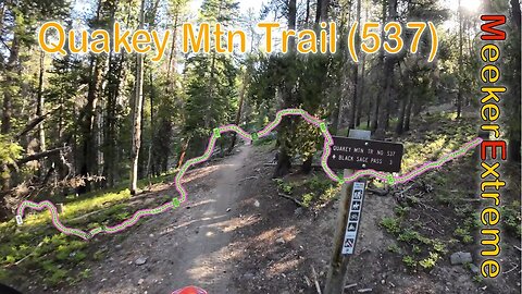 2023 Quakey Mountain Trail (537) - Singletrack - Full Trail Video - Sargents, Colorado