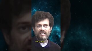 Terence McKenna: The Psychedelic Experience
