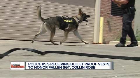 Police K-9's receiving bulletproof vests to honor fallen Sgt. Collin Rose