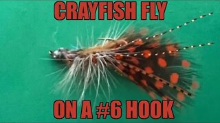 #6 hook Crayfish #fishing #flytying #flyfishing #bass #carp