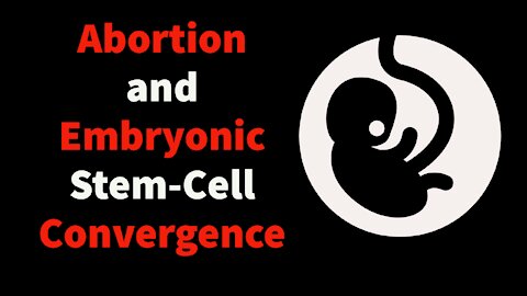 Abortion and Embryonic Stem Cell Research Convergence