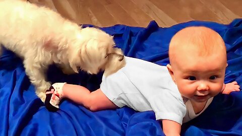 Adorable Babies Playing With Dogs Compilation - Funny Baby And Dog Videos