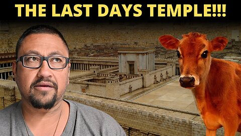 Red Heifers, The Temple, And Everything In-Between!!!