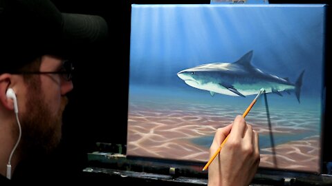 Acrylic Wildlife Painting of a Shark - Time Lapse - Artist Timothy Stanford